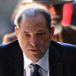 weinstein