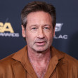 David Duchovny/ Profimedia