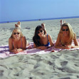 beverly hills, 90210 (6)