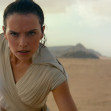 daisy (5)