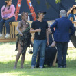 Al Pacino is Spotted as He Gets into Character on The Set of "Lear Rex" in Los Angeles