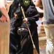 Bradley Cooper și Irina Shayk au petrecut împreună Halloween-ul de dragul fiicei lor/ Profimedia