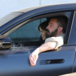 *EXCLUSIVE* Jennifer Garner and Ben Affleck: Breakfast, Bagels, and Brentwood Cruising