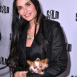 Demi Moore/ Profimedia
