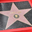 Jude Law Hollywood Walk of Fame Ceremony