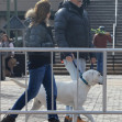 Kevin Costner