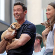 The 24th Annual Broadway Barks Event in New York City