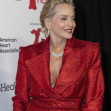 2025 AHA’s Red Dress Collection