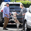 EXCLUSIVE: Renee Zellweger steps out with a messy head of hair after arriving home after doing a two week press tour around the world for her new movie