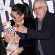 Robert De Niro și Tiffany Chen/ Profimedia