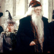 Miriam Margolyes în Harry Potter/ Profimedia