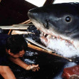 Jaws (1975) / Profimedia