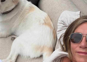 Jennifer Aniston, când nu filmează și nu apare pe covorul roșu. Courteney Cox, nelipsită din viața ei