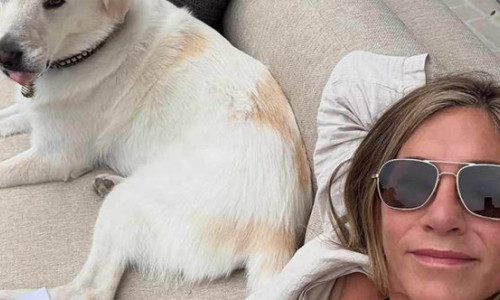 Jennifer Aniston, când nu filmează și nu apare pe covorul roșu. Courteney Cox, nelipsită din viața ei