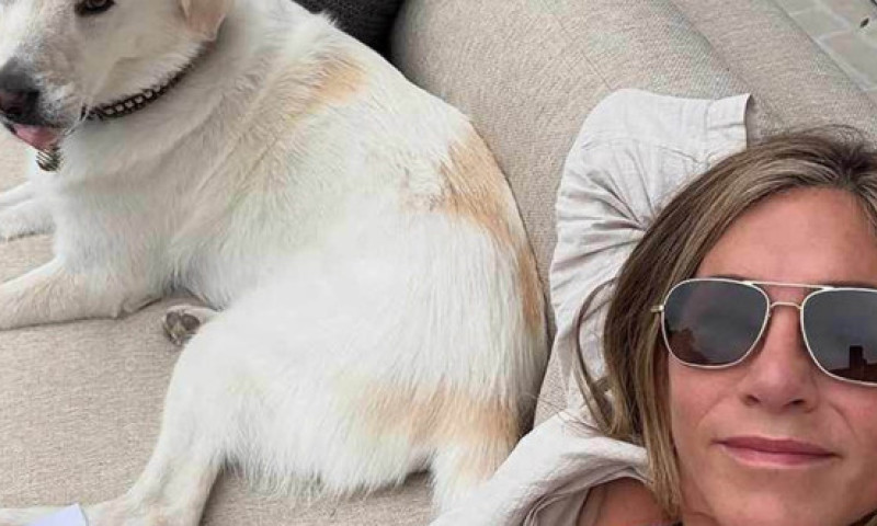 Jennifer Aniston, când nu filmează și nu apare pe covorul roșu. Courteney Cox, nelipsită din viața ei