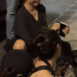 Zendaya / Foto: Captură video TikTok