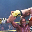 Hulk Hogan  and Sylvester Stallone