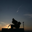 venetia (13)
