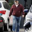 EXCLUSIVE: Matt LeBlanc is Spotted at His Luxury Car Dealership in Los Angeles