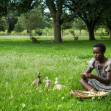 12 Years a Slave (2013),  Lupita Nyong'o