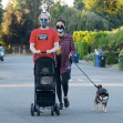 EXCLUSIVE: Macaulay Culkin and Girlfriend Brenda Song Take Their Cat and Dog Out for a Stroll in Los Angeles.