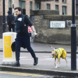 *EXCLUSIVE* Game Of Thrones' British Actor Kit Harington takes his newborn baby boy out for a walk in London.