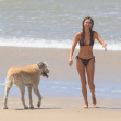 EXCLUSIVE: *NO DAILY MAIL ONLINE* PUPPY LOVE! Liam Hemsworth And Girlfriend Gabriella Brooks Head To The Beach With Liam's Dog Dora And A The Couple's New French Bulldog That Adopted Together Last Year