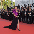 "The Meyerowitz Stories" Red Carpet Arrivals - The 70th Annual Cannes Film Festival