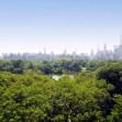 panorama central park