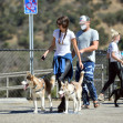 EXCLUSIVE: Leonardo DiCaprio and Camila Morrone are Spotted Hiking With Their Dogs in Los Angeles.