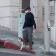 *PREMIUM-EXCLUSIVE* Leonardo DiCaprio and Camila Morrone walk their foster dog during Stay-at-Home Order *WEB EMBARGO UNTIL 9:15 AM PDT on April 17, 2020*