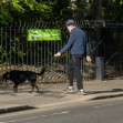 *EXCLUSIVE* *WEB MUST CALL FOR PRICING* Hugh Laurie looks unrecognisable in a tracksuit, a beanie hat and trainers and a full bushy beard as he was spotted taking his dog for a walk in London.