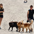 *EXCLUSIVE* Sean Penn and Leila George take the dogs to the Dog Park in Hollywood