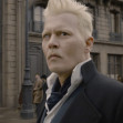 fantastic beasts (2)
