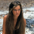 Brooke Shields