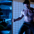The Wolverine - 2013, Hugh Jackman