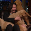 Keanu Reeves declares himself the Puppy King as he faces off against Jimmy Fallon in a game of Pup Quiz on The Tonight Show