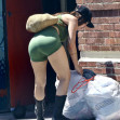 Scout Willis