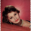Sophia Loren