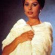Sophia Loren