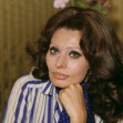Sophia Loren