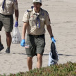 *EXCLUSIVE* Ashton Kutcher and Mila Kunis lead beach cleanup with Cub Scout Den