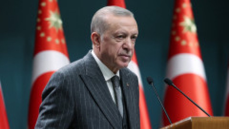 Turcia îl convoacă pe ambasadorul Germaniei, după ce un politician german l-a făcut pe Erdogan „un mic șobolan de canalizare”