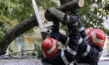 6 copaci au căzut iar 7 mașini au fost avariate în zona București - Ilfov