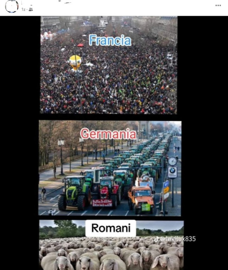 74b3db0b-f935-493f-b625-fd63ef24a3d0 | Poza 3 din 4