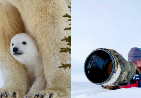 Imagini senzaționale cu o familie de urși polari. Un fotograf a îndurat temperaturi de -45 de grade pentru cadrele perfecte