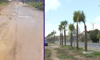 Un primar din Mehedinți, dintr-o comună fără asfalt, a pus palmieri pe marginea drumului pentru că așa a văzut în vacanțe și i-a plăcut