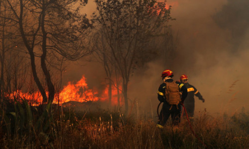 Un român a fost arestat în Grecia pentru că ar fi dat foc intenționat unei păduri. El susține că a vrut să-l stingă