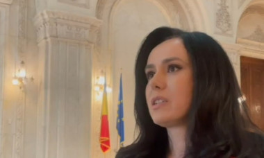 Ministrul Muncii, cu lacrimi în ochi după ce moțiunea împotriva sa a trecut în Senat. „E o nedreptate”
