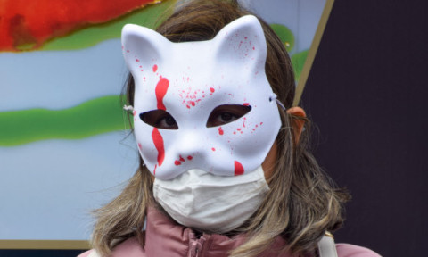 Subcultura bolnavă a torționarilor de pisici. Războiul secret dintre iubitorii de feline și cei care fac bani din „zoosadism”